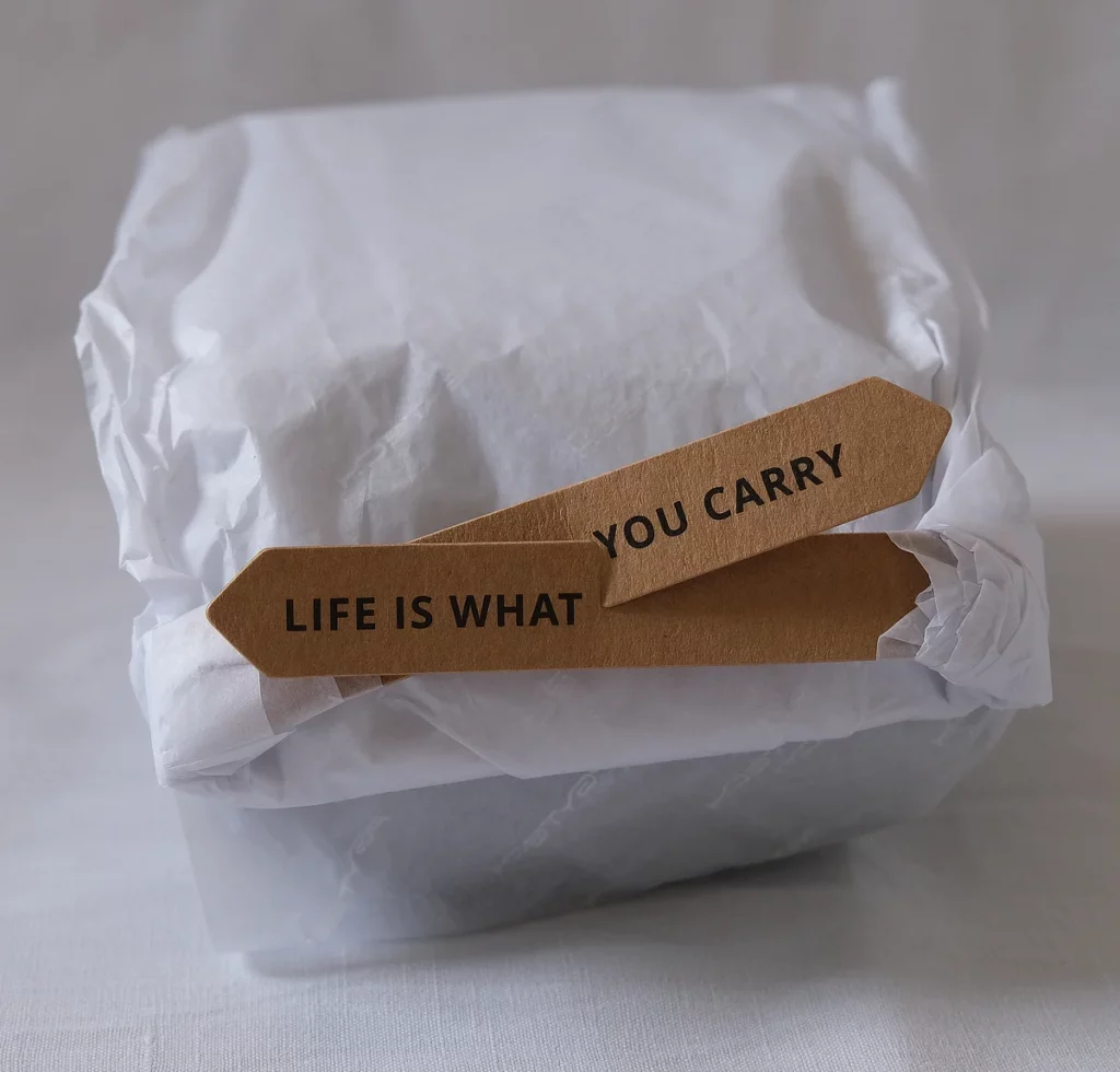 Pgytech Mini Tech Pouch Papier-Verpackung mit Schriftzug: "Life is what you carry".