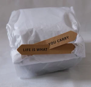 Pgytech Mini Tech Pouch Papier-Verpackung mit Schriftzug: "Life is what you carry".